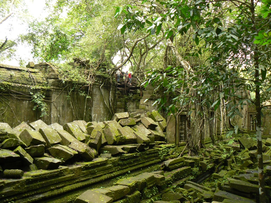 Much of the destruction is caused by the trees breaking apart the blocks