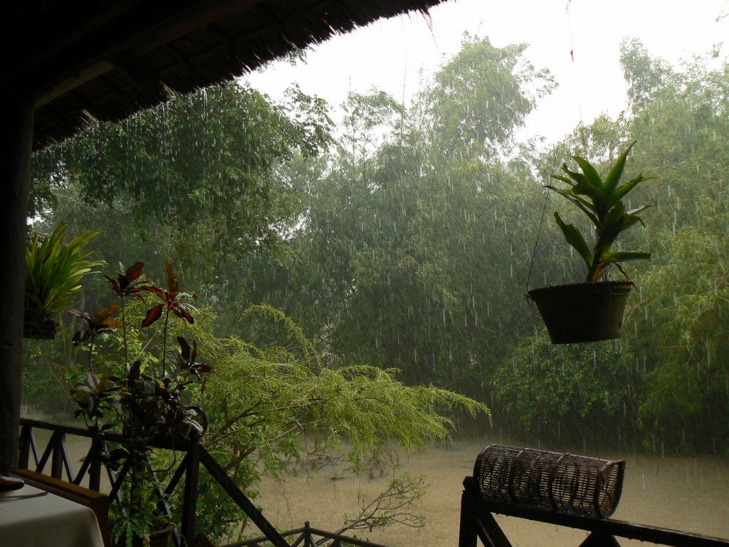 August is the rainy season - and tt rained hard while I was in the restarant for lunch - but this was the only time it rained in the 2 days