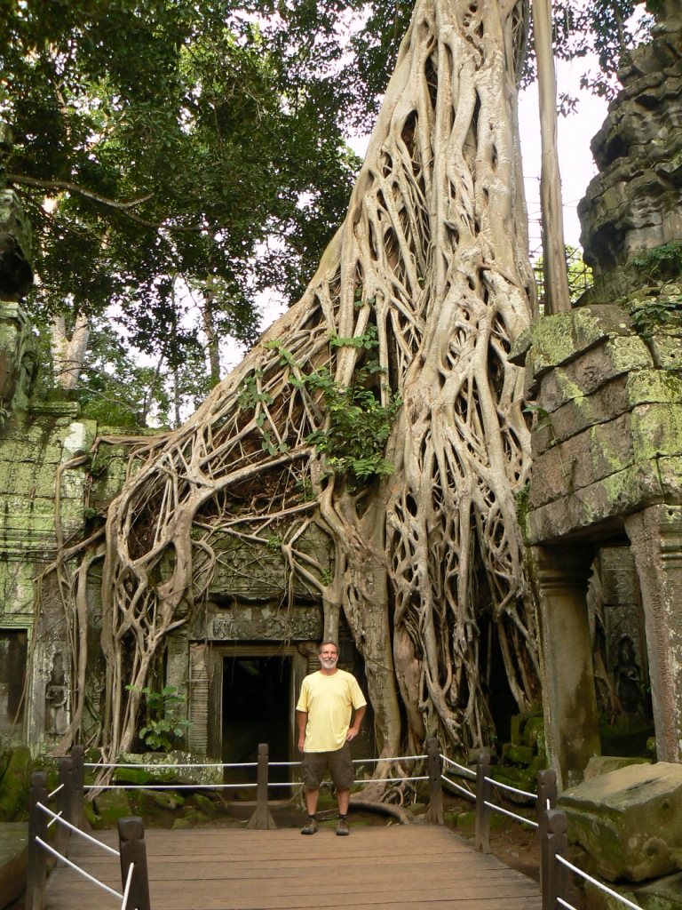 Apparently this tree was used in the Tomb Raider film.