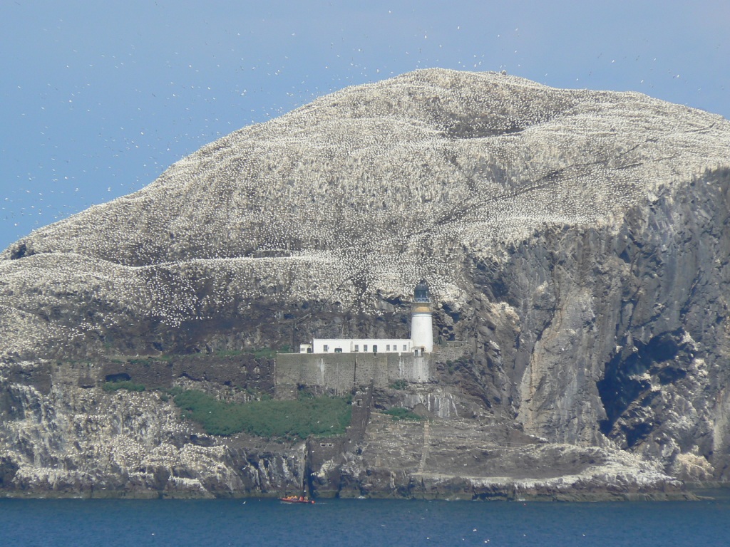 Bass rock is home to huge seabird colonies