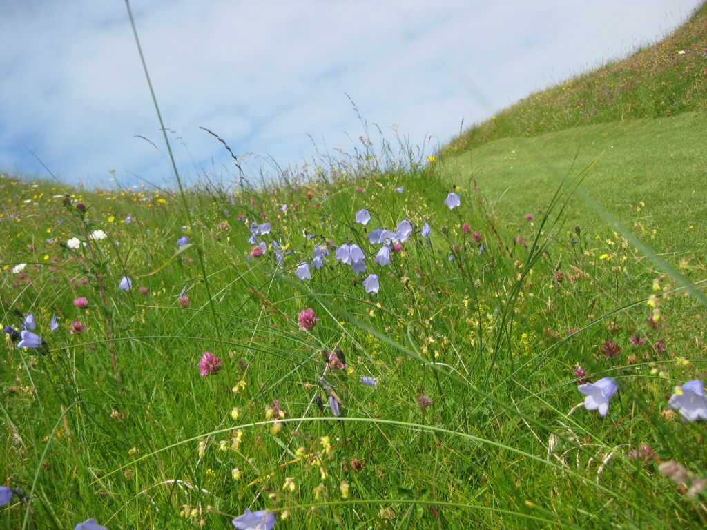 The rough is as tough as it is beautiful