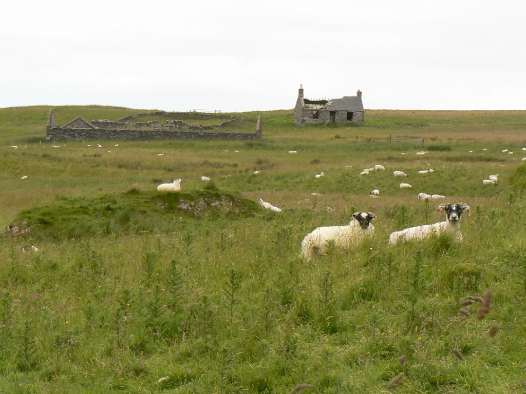 Near Finlaggan on Islay