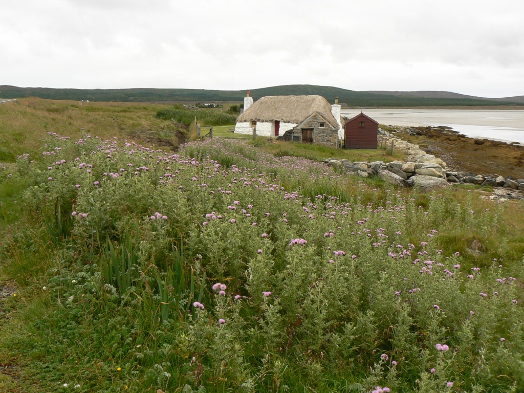 I think that we had zero thistle-free days