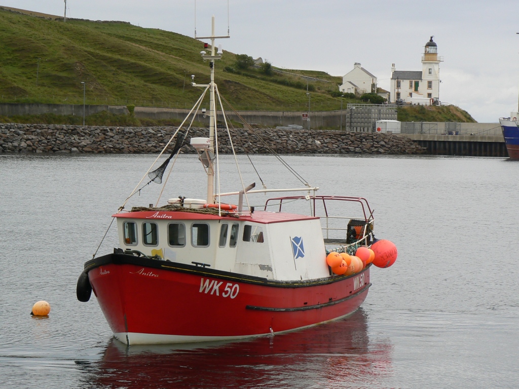 In Thurso harbor