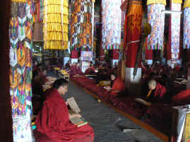 Drepung monks.JPG (270476 bytes)