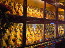 Drepung thousand buddhas.JPG (270340 bytes)