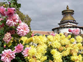 Gyantse flowers by chorten.JPG (410745 bytes)