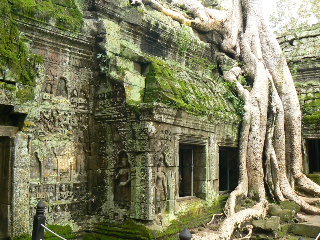 Ta Prohm is is a better state of preservation than Beng Meala, but many big trees are growing out of the walls.