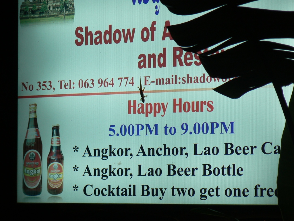 A hard day of history makes you thirsty, and as a backpacker haven Siem Reap is well supplied with economical watering holes.